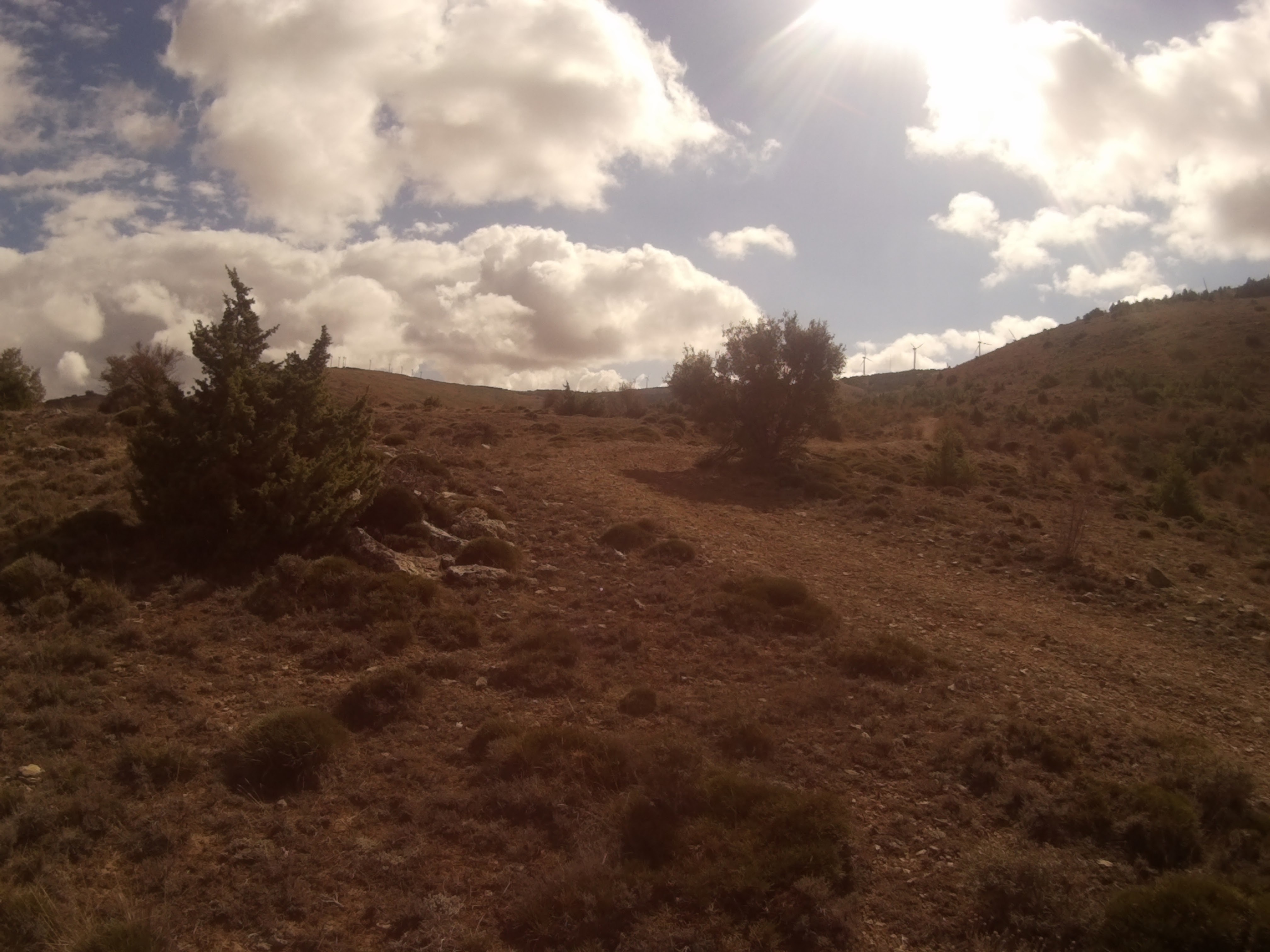 SIERRA FUENTE DEL POSTE (OLVEGA) CON PARQUE EOLICO AL FONDO.